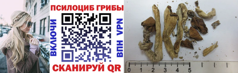 как найти   Питкяранта  Галлюциногенные грибы прущие грибы 